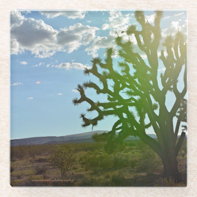 Desert Beauty Glass Coaster (Front)