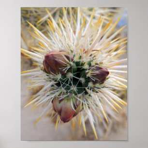 Desert Beauty Poster