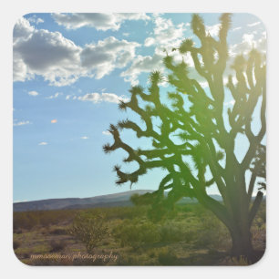 Desert Beauty Square Sticker
