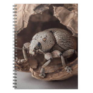 Desert Beetle Shell Notebook