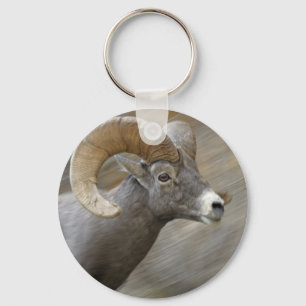Desert Bighorn Ram Key Ring