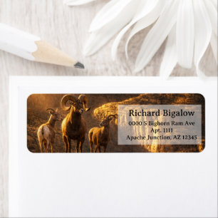 Desert Bighorns Arizona Wildlife Sonoran Desert Return Address Label