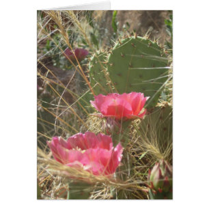 Desert Blooms