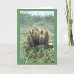 Desert Blooms Cactus Note Card or Greeting Cards
