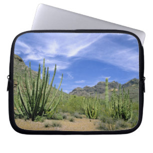 Desert cactus at Organ Pipe National Monument, Laptop Sleeve