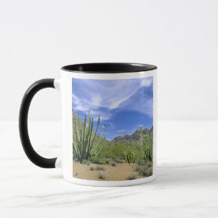 Desert cactus at Organ Pipe National Monument, Mug