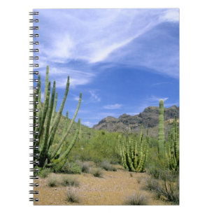 Desert cactus at Organ Pipe National Monument, Notebook