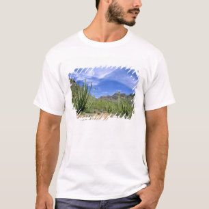 Desert cactus at Organ Pipe National Monument, T-Shirt