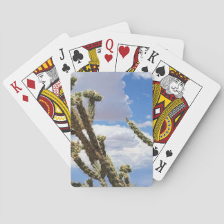 Desert Cactus Blu Sky Playing Cards
