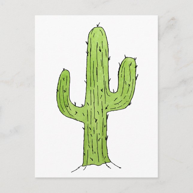 Desert Cactus Desert Plants Cactus Tree Design Postcard (Front)
