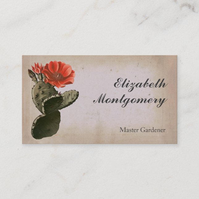 Desert Cactus Flower Professional Business Cards (Front)