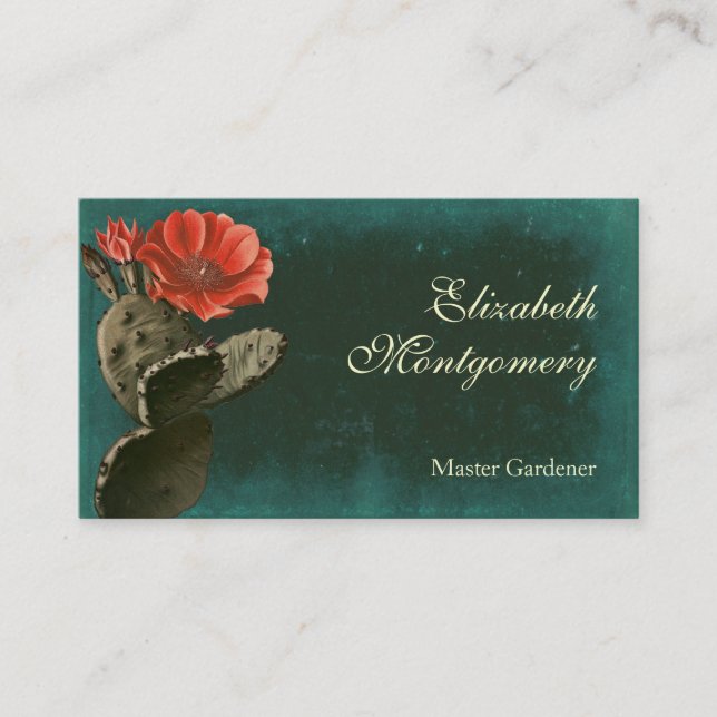 Desert Cactus Flower Professional Business Cards (Front)