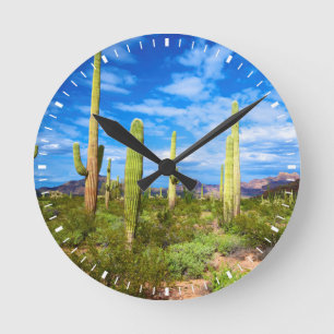 Desert cactus landscape, Arizona Round Clock
