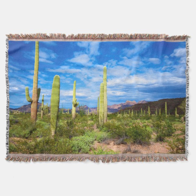 Desert cactus landscape, Arizona Throw Blanket (Front)
