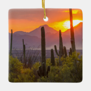 Desert cactus sunset, Arizona Ceramic Ornament