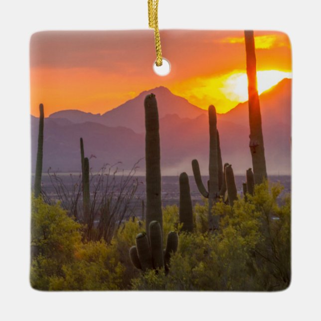 Desert cactus sunset, Arizona Ceramic Ornament (Front)