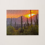 Desert cactus sunset, Arizona Jigsaw Puzzle<br><div class="desc">USA,  Arizona,  Saguaro National Park. Sunset on desert landscape.  | Jaynes Gallery / DanitaDelimont.com</div>