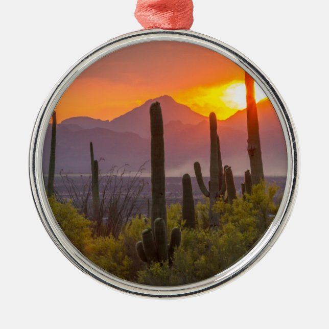 Desert cactus sunset, Arizona Metal Tree Decoration (Front)