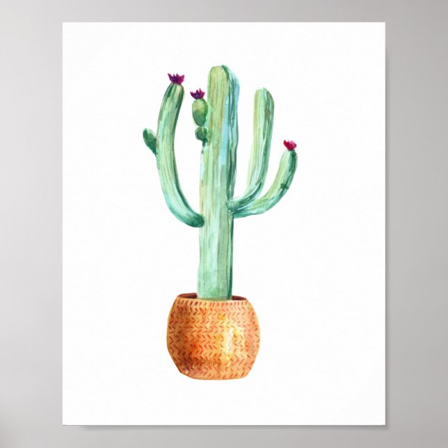 Desert cactus watercolour drawing poster (Front)