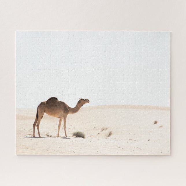 Desert camel jigsaw puzzle (Horizontal)