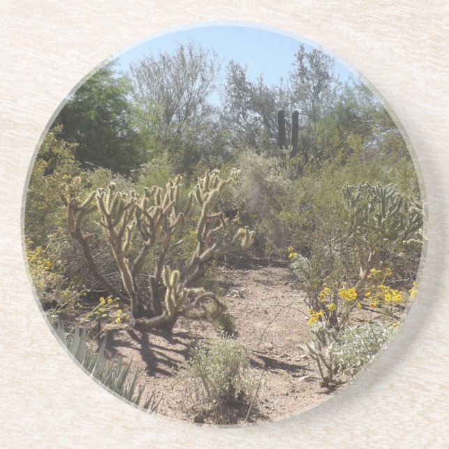 Desert Coaster (Front)