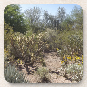 Desert Coaster