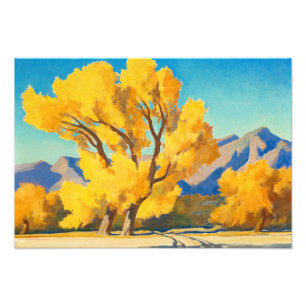 Desert Cottonwoods, Arizona by Maynard Dixon Photo Print