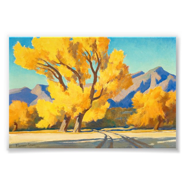 Desert Cottonwoods, Arizona by Maynard Dixon Photo Print (Front)