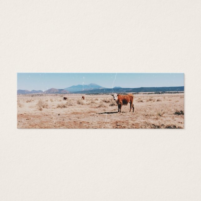 Desert Cow (Front)