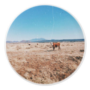 Desert Cow Ceramic Knob