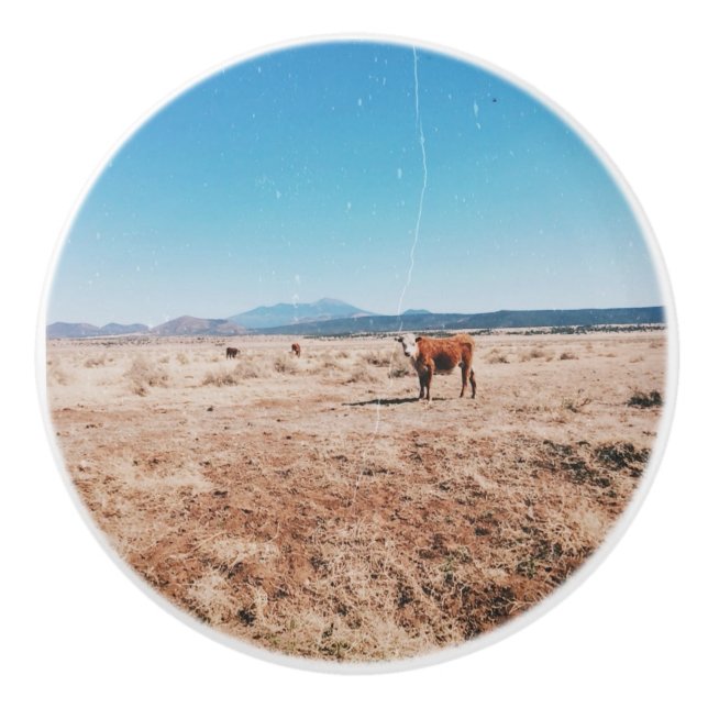 Desert Cow Ceramic Knob (Front)