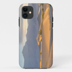 Desert Dawn iPhone 11 Case