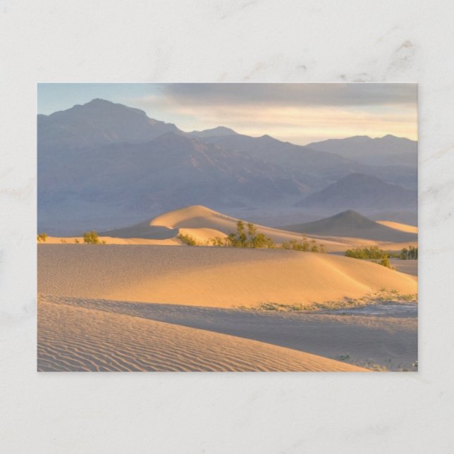Desert Dawn Postcard (Front)