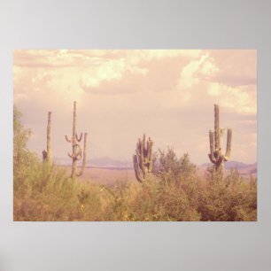 Desert Dream poster