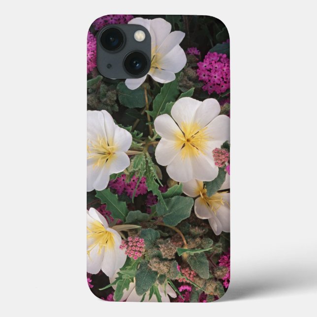 Desert Evening Primrose and Desert Sand Verbena, Case-Mate iPhone Case (Back)