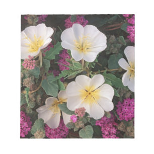 Desert Evening Primrose and Desert Sand Verbena, Notepad