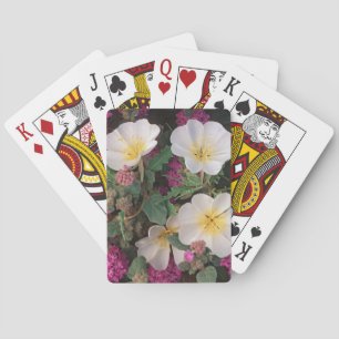 Desert Evening Primrose and Desert Sand Verbena, Playing Cards