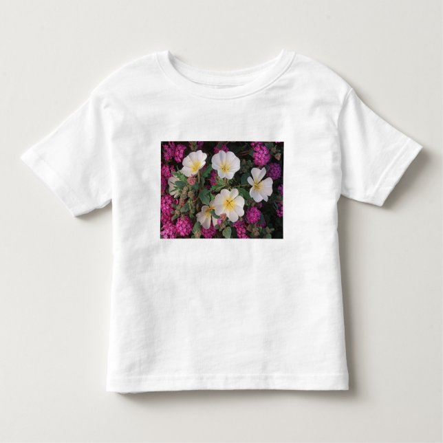 Desert Evening Primrose and Desert Sand Verbena, Toddler T-Shirt (Front)