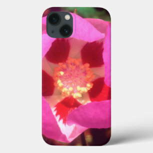 Desert Five Spot Wildflower iPhone 13 Case