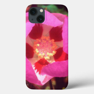 Desert Five Spot Wildflower iPhone 13 Case