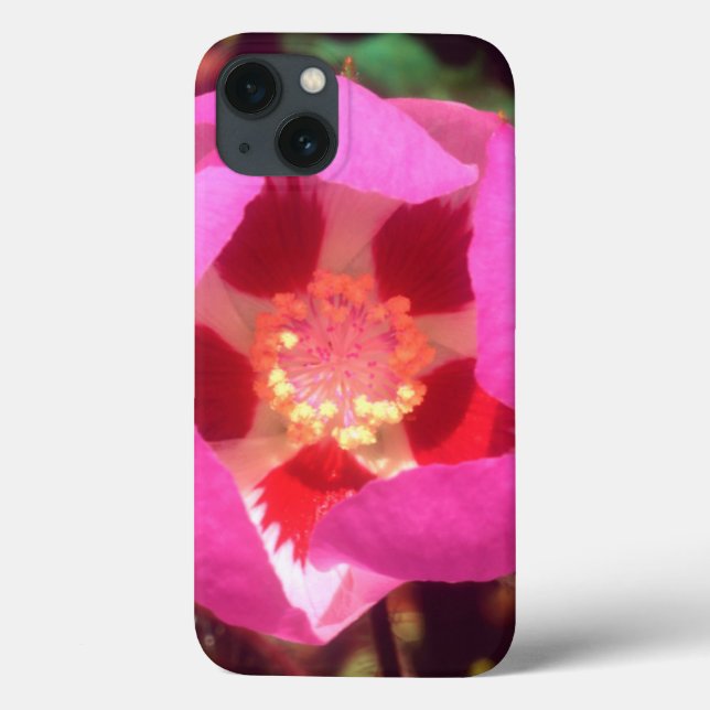 Desert Five Spot Wildflower Case-Mate iPhone Case (Back)