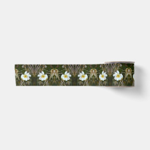 Desert Flowers Satin Ribbon
