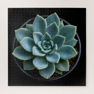 Desert Geometry Jigsaw Puzzle