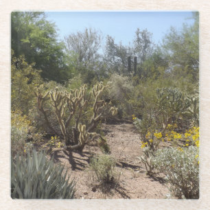 Desert Glass Coaster