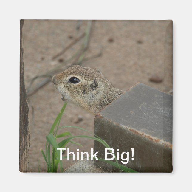 Desert Ground Squirrel Animal Motivational Magnet (Front)