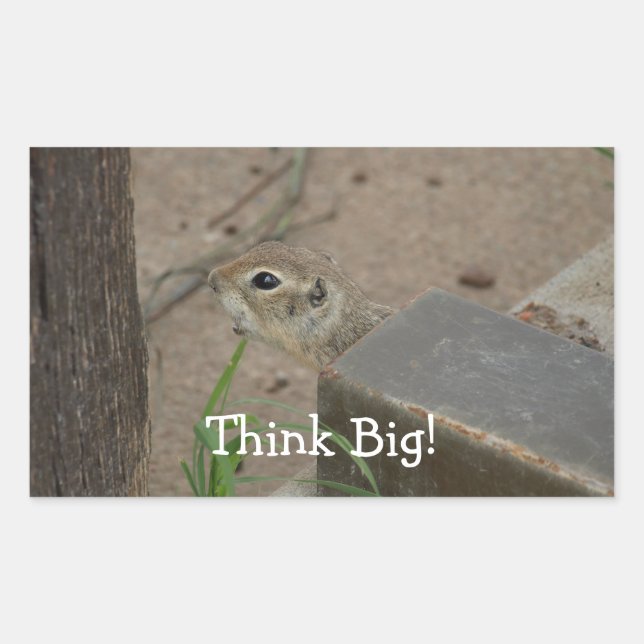 Desert Ground Squirrel Animal Motivational Rectangular Sticker (Front)