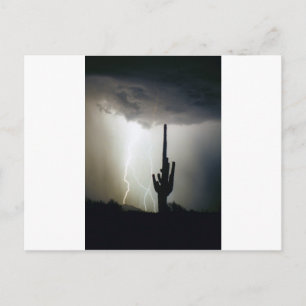 Desert Highlands Lightning Postcard