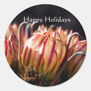 Desert Holiday in Bloom Classic Round Sticker