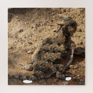 Desert Horned Lizard Difficult   Jigsaw Puzzle