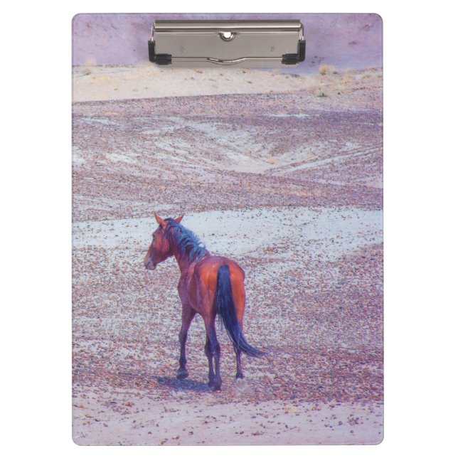 Desert Horse P8640 Clipboard (Front)